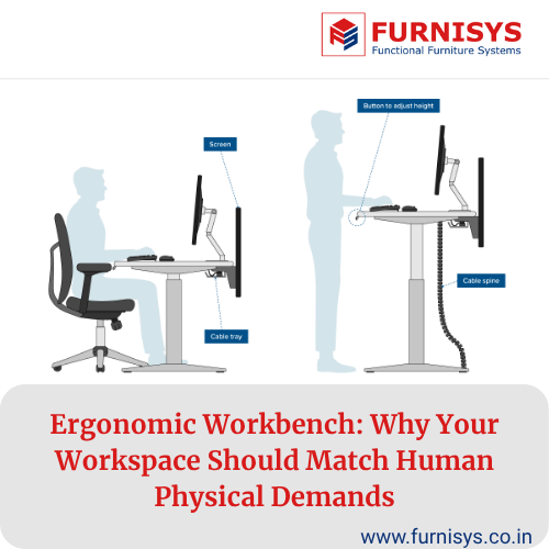 Ergonomic Workbench: Why Your Workspace Should Match Human Physical Demands  